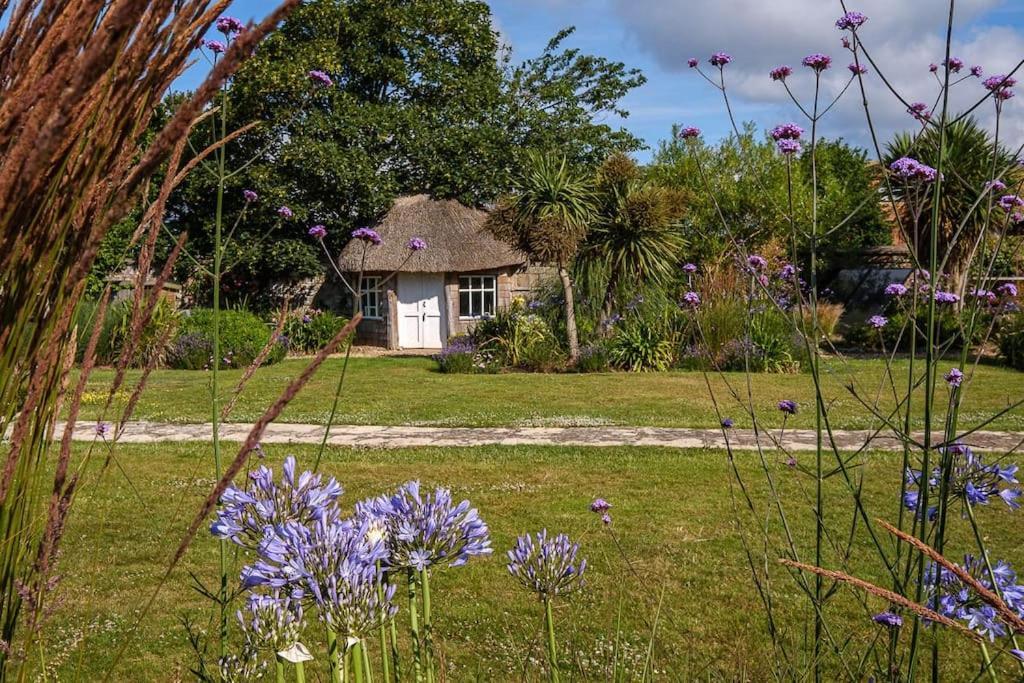فيلا The Beach House-Devon- On The Beach- Sleeps 20 إاكسماوث المظهر الخارجي الصورة